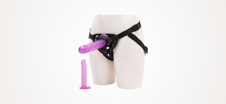 BASICS Strap-On Harness Kit with 2 Dildos