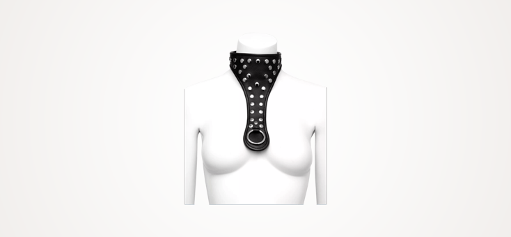 DOMINIX Deluxe Leather Studded Collar 